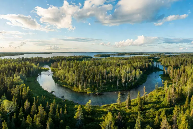 Paysage du territoire Eeyou Istchee — forêt boréale, rivière et ciel d'été nordique