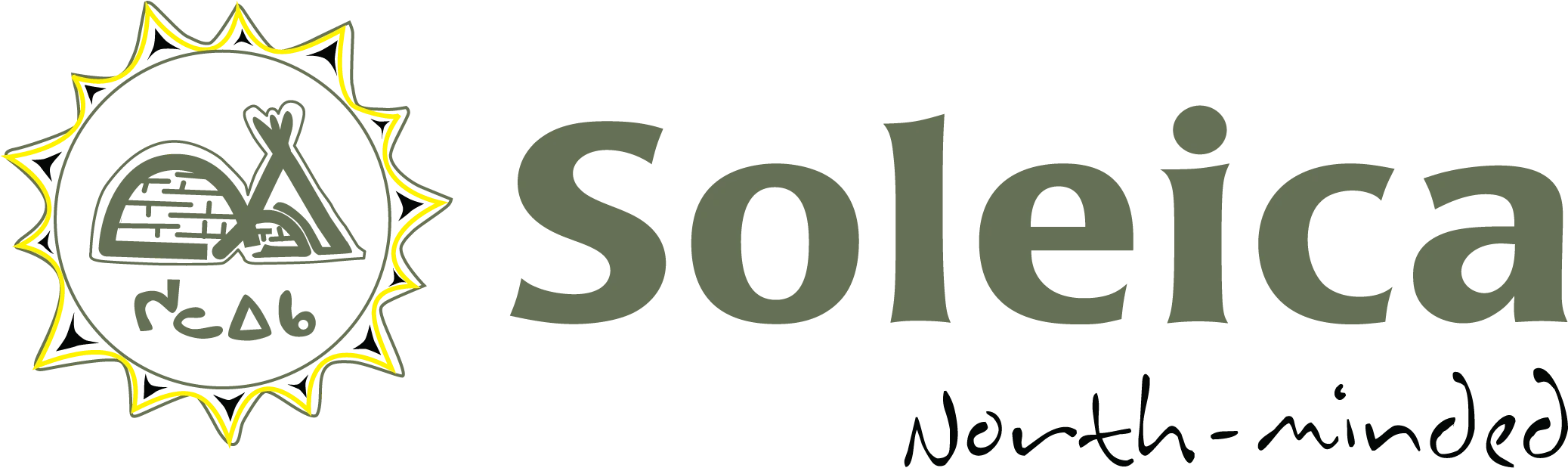Soleica Inc